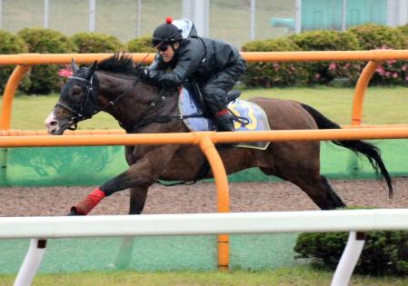 　雨の函館Ｗを追い切るマヤノライジン＝函館競馬場（撮影・田村亮介）