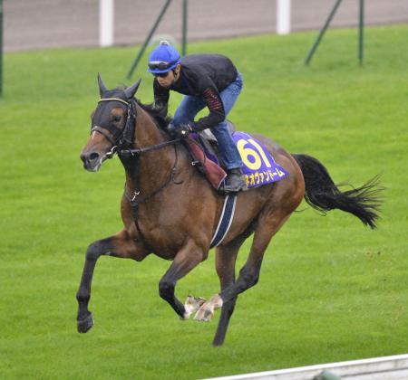 　浜中が駆けつけた追い切りで鋭い動きを見せたネオヴァンドーム（撮影・田村亮介）