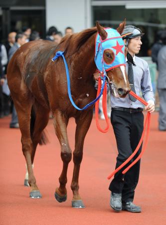 　３歳馬ハクサンムーンが持ち前のスピードを生かす