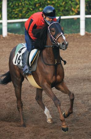 　ベストのマイル戦で重賞Ｖを狙うエーシンリターンズ