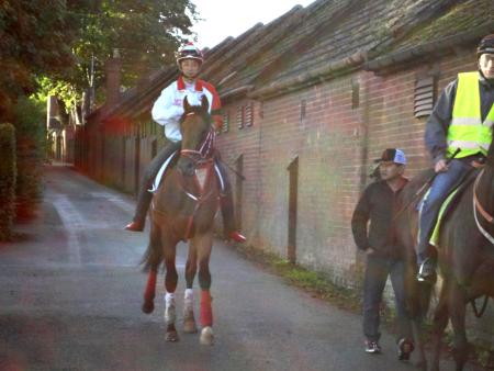 　順調に調整が進むディープブリランテと同馬を見つめる矢作師