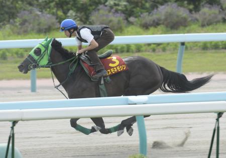 　柴田大を背に札幌ダートで脚を伸ばしたコスモネモシン