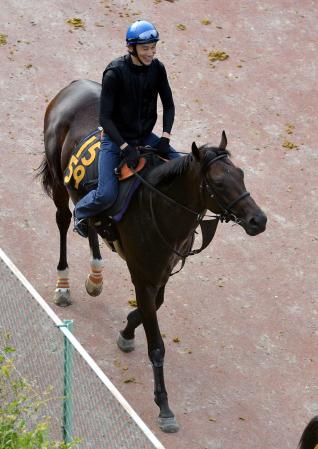 　野田口は古馬初挑戦の前走を好時計で制したダノンゴールドに注目する