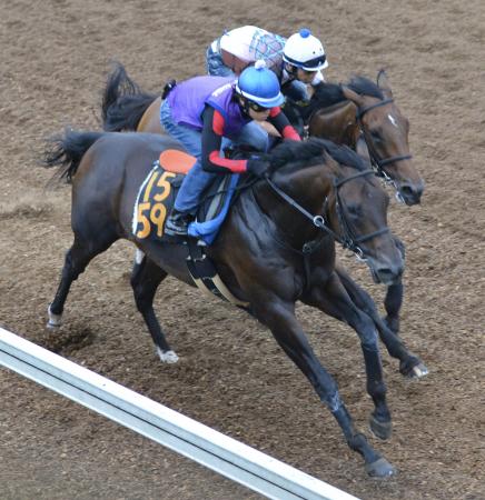 　美浦坂路を力強く駆け上がったダノンゴールド（手前）（撮影・田村亮介）