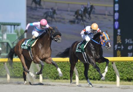 　ナムラビクター（左）の追撃を振り切り重賞タイトルをつかんだホッコータルマエ（撮影・田村亮介）