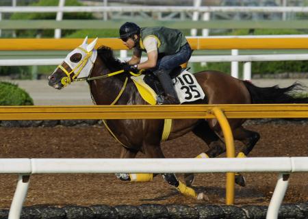 　栗東ＣＷで長めから意欲的に追われたスエズ（撮影・片岡寛尚）