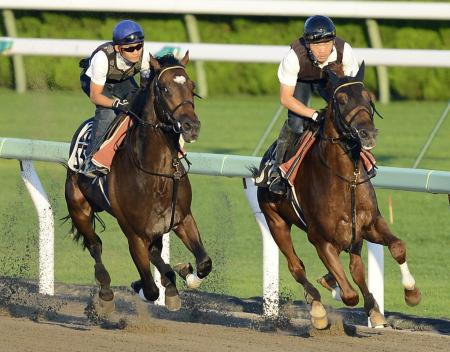 　函館ダートで併せ馬を行ったローマンレジェンド（左）（撮影・棚橋慶太）