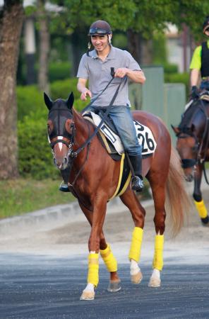 　素質開花で勢いに乗るエクスペディション