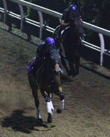 　２冠牝馬ジェンティルドンナの調整は順調だ