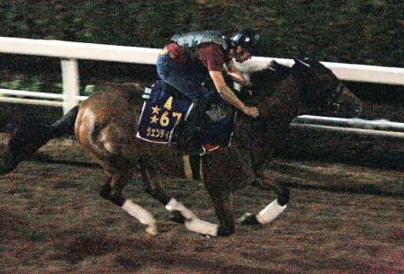 栗東坂路で追い切るジェンティルドンナ＝栗東トレセン（撮影・石湯恒介）