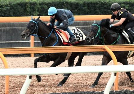 　栗東ＣＷで追い切るユニバーサルバンク（左）＝栗東トレセン（撮影・片岡寛尚）