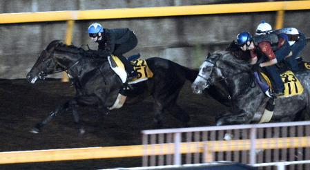 　ルルーシュ（左）