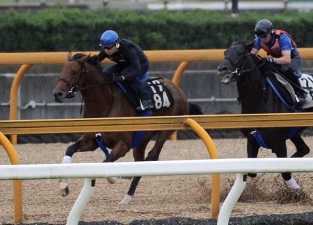 　栗東ＣＷで併走相手をあっさりと突き放したマウントシャスタ（左）（撮影・片岡寛尚）