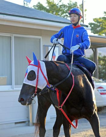 　息ピッタリのドリームバレンチノとＧ１初制覇を狙う松山（撮影・片岡寛尚）