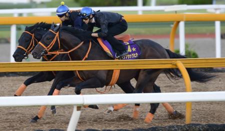 　２頭併せで栗東ＣＷを追い切るカレンブラックヒル