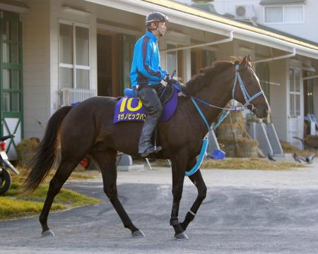 　Ｇ１奪取に挑むタガノビッグバン（撮影・石湯恒介）