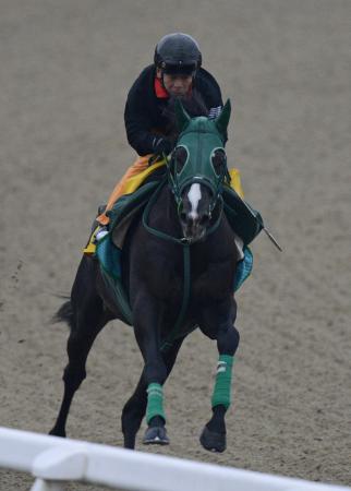 　仕上がりの良さを誇示した美浦Ｐのガルボ（撮影・三好信也）