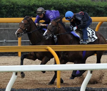 　栗東ＣＷで力強い動きを見せたスカイディグニティ（左）