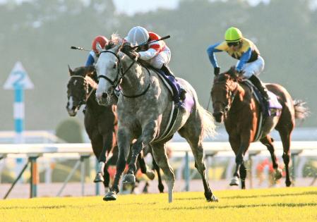 強気の競馬で押し切るゴールドシップ（撮影・石湯恒介）
