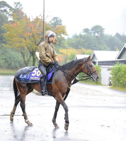 　雨の中を厩舎へ引き揚げるジャスタウェイ