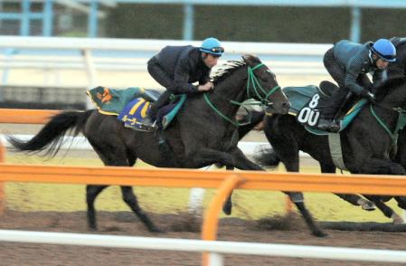 メンディザバルを背に栗東ＣＷで追い切るルーラーシップ＝栗東トレセン（撮影・片岡寛尚）