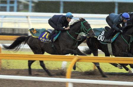 　メンディザバルを背に栗東ＣＷで追い切るルーラーシップ（撮影・片岡寛尚）