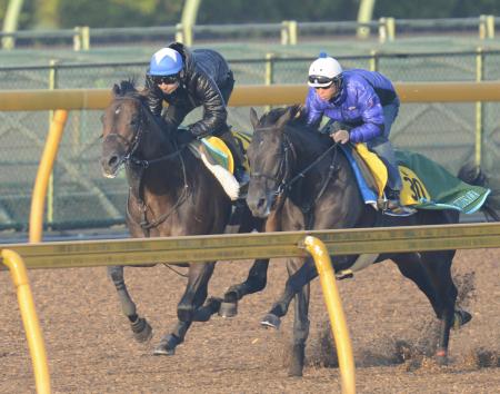 　横山典を背に美浦Ｗで絶好の動きを披露したルルーシュ（左）（撮影・三好信也）