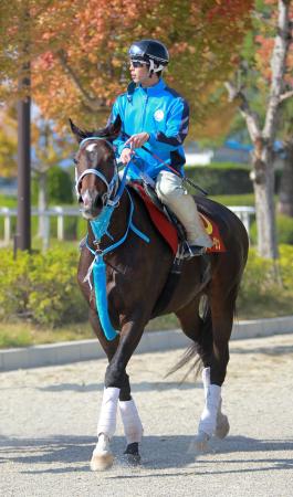 　大一番に照準を合わせてきたフミノイマージン