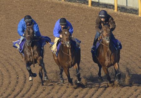 　美浦Ｗで併せ馬を行った堀厩舎の３頭（左から）ストロングリターン、リアルインパクト、ファイナルフォーム