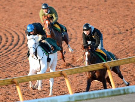 併せ馬で追い切られたブラマンジェ（左）＝美浦トレセン（撮影・西岡　正）