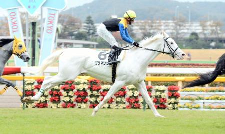 ５着に敗れたブラマンジェ＝東京競馬場（撮影・棚橋慶太）