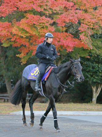 　厩舎へ引き揚げるエイシンフラッシュ