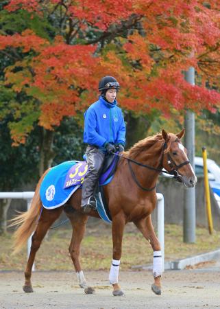 　栗東トレセンで運動をするオルフェーヴル（撮影・石湯恒介）