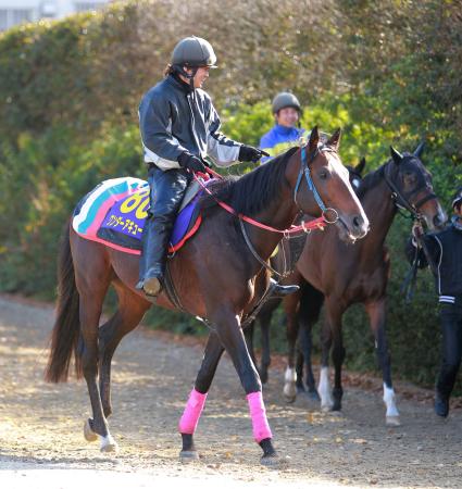 　好調キープで臨む昨年の２着馬ワンダーアキュート