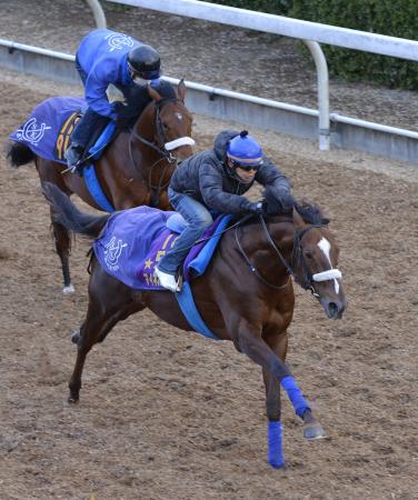 　併走相手を置き去りにした美浦坂路のマイネルキッツ