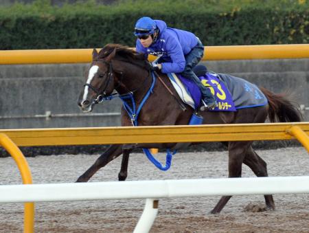 　栗東ＣＷのエスポワールシチーは武豊を背に軽快な動き