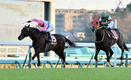 ステイヤーズＳ・トウカイトリック＝中山競馬場（撮影・田村亮介）