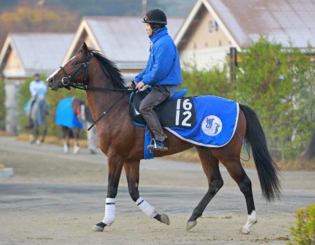 　いよいよデビューが迫ってきたリヤンドファミユ（撮影・石湯恒介）