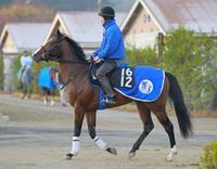 注目馬リヤンドファミユがベール脱ぐ