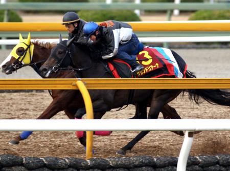 　栗東ＣＷで鋭く伸びたサウンドリアーナ（右）（撮影・片岡寛尚）