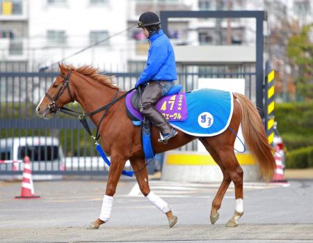 　有馬記念を回避することが決まったオルフェーヴル