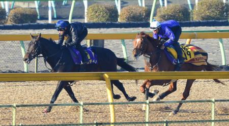 　横山典を背に美浦Ｗでパートナーを突き放したコディーノ（左）（撮影・持木克友）