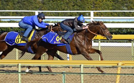 　ムーアを背に美浦Ｗで追い切ったダークシャドウ（右）（撮影・三好信也）