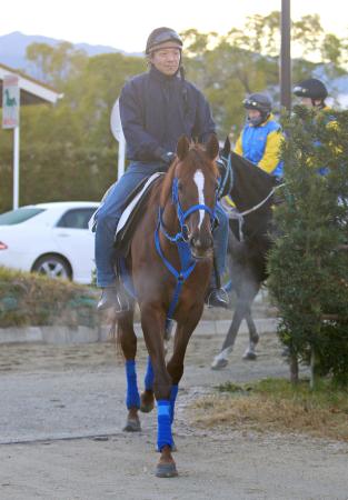 　軌道に乗ってきた良血馬アドマイヤセプター