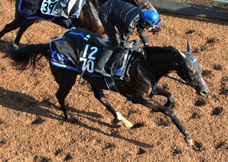 ローブティサージュはタフさが武器編集者のオススメ記事【写真】武豊ＪＲＡ通算４４００勝 ユーイチと２人で計５勝「じ…父・今村康成助手が語る今村聖奈騎手藤田伸二氏「あんなんしてホンマにええの？」処分明け岩田康騎…【写真】名伯楽・伊藤雄二元調教師が老衰のため死去 ８５歳 ダ…レース最新ニュース主要ニュース川島が「ラヴィット！」韓国ロケを謝罪藤浪に護摩行のススメ　評論家が指摘ジャガー横田１６歳長男から「ウザっ」ヤクルト村上　ＳＮＳ写真「可愛すぎ」昨年３月に新居完成の辻希美「工事中」ランキング(レース)話題の写真ランキング写真リアルタイムランキング注目トピックス