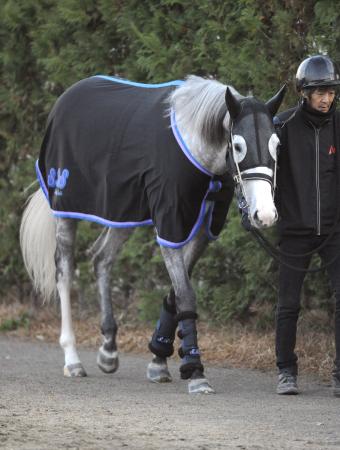 　阪神大賞典からの始動を予定するゴールドシップ