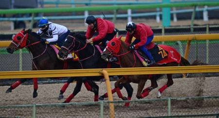 　美浦Ｗを余力十分に駆け抜けたサンブルエミューズ（右）