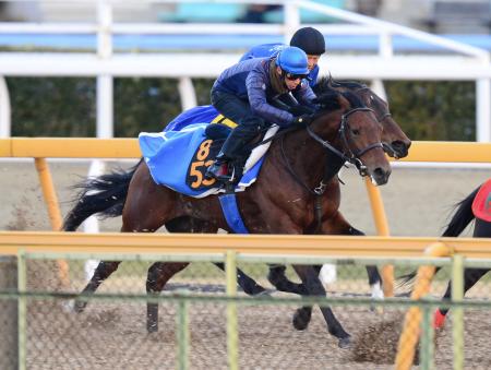 　蛯名を背に美浦Ｗで追い切ったノウレッジ（手前）（撮影・三好信也）