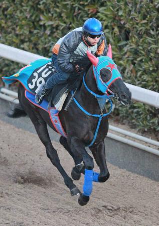 　栗東坂路で状態の良さをアピールしたマイネルマエストロ（撮影・石湯恒介）