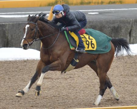 　美浦Ｗで大野を背に追い切るトランスワープ（撮影・田村亮介）